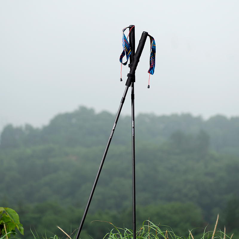 2pcs AONIJIE New Folding Outdo - огляд і ціна Trekking Pole Carbon